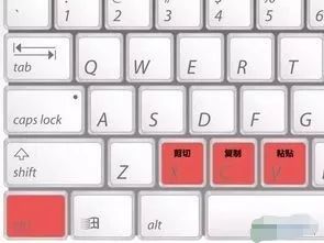 高效利器 常用鍵盤快捷鍵全解